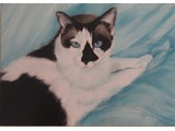 Item 106 Louise's Cat, 12 by 16, pastel, 1995