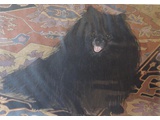 Item 2, Molly, 16 by 20, Oil on canvas, 1994
