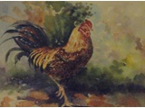Item 23 Roosgter at Silver Springs, 15 by 12, watercolor, 1990
