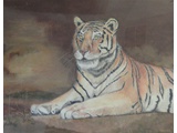 Item 30 Tiger Sitting, 23 by 18, Colored Pencil, 1992