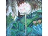 Item 42 Lotus Flower, 5 by 5, watercolor on acqua board, 2011