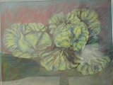 Item 69 Cabbage II, 28 by 22, pastel, circa 1987