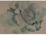 Item 70 Cabbage III, 15 by 12, watercolor, circa 1994