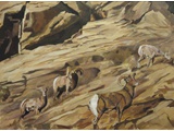 Item 72 Mountain Goats, 24 by 18, Oil, circa 1989