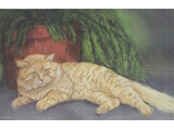 Item 92 Virginia's Cat III, 15.5 by 10, Pastel, 1995