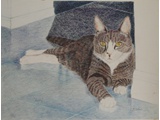 Item 93 Timothy, 15.5 by 11.5, Colored Pencil, 1993